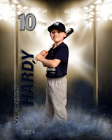 hardy24