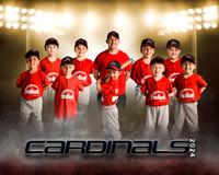 cardinals copy