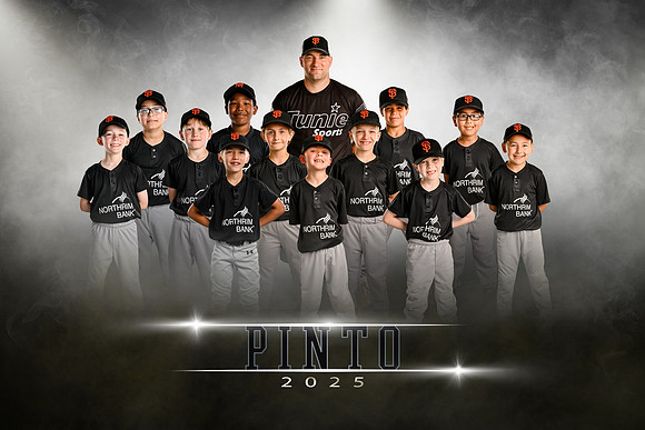 pinto.giants.team