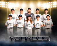 yankeesbressler copy