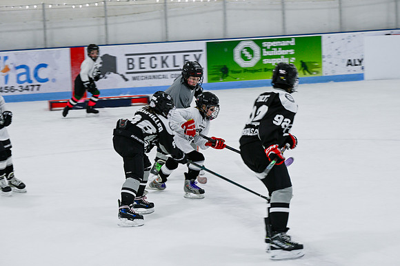_DSC8710