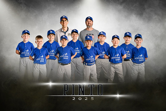 pinto.dodgers.team