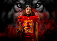 lawerence.lowrysims.wolf