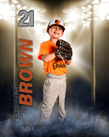 BROWNCORRECTED2
