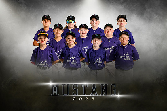Mustang.marlins.team