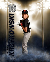 krzykowski'24