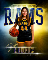 d.redfox.2025
