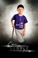 Louie.sample.2025