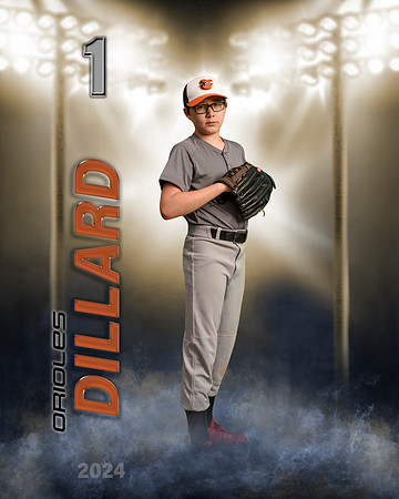 dillardaiden'24