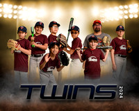 twinsdillard copy