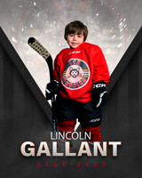 LINCOLN.GALLANT