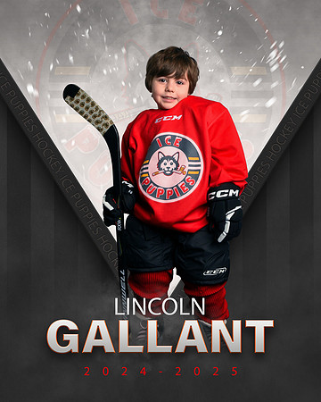 LINCOLN.GALLANT