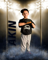 akin2024