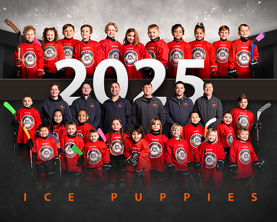 IP.TEAM