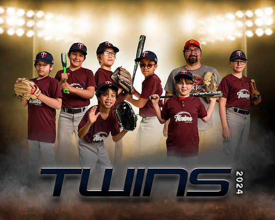 twinsdillard copy