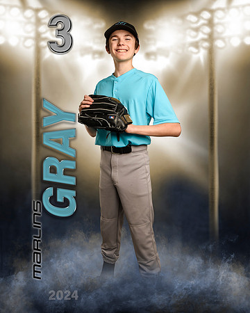gray2024