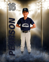 pearson.2024