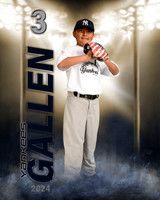 gallen.2024