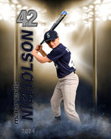 nicholson24
