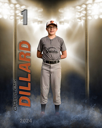 dillard2024