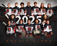 14UARTICLIONS2025