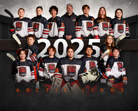 14UARTICLIONSTEAM
