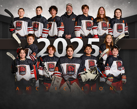 14UARTICLIONSTEAM