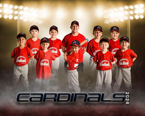 cardinals copy