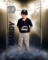 Hardy